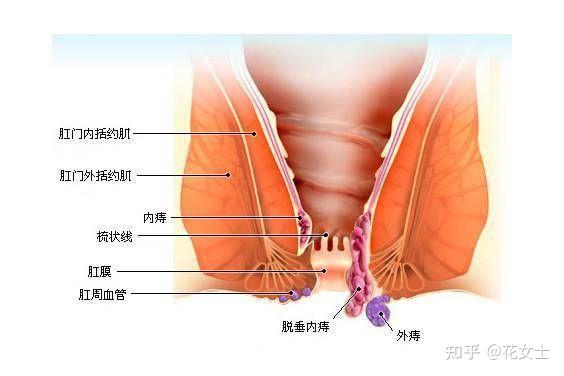 肛门擦不干净_肛门擦不干净_肛门擦不干净