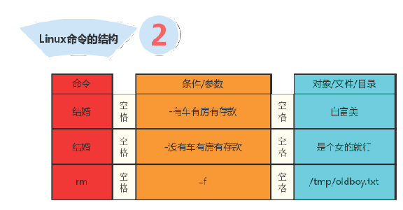 linux中压缩文件命令 Linux 压缩文件命令大揭秘：tar、zip、gzip 和 bzip2 