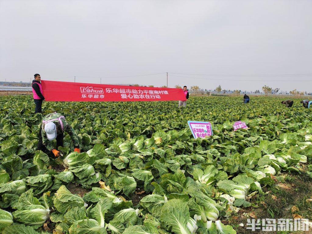 北京泰能软件有限公司电话_泰能软件怎么过夜审_北京东华万兴软件有限公司招聘