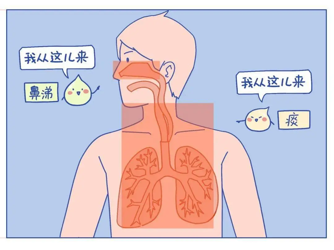 肺炎+白痰_肺炎白痰吃什么药效果好_白痰肺炎