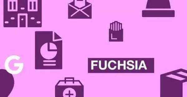 手机刷fuchsia os_刷手机图片_刷手机是什么意思