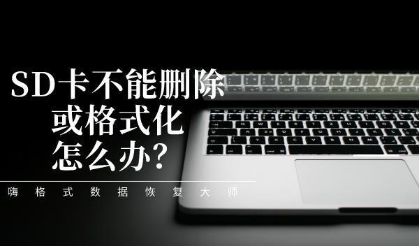 sd卡格式化后如何恢复数据-SD 卡格式化别慌！这些方法帮你找回珍贵数据