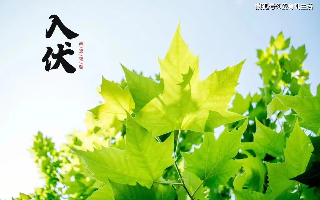 两根10兆网速怎么叠加_两条千兆宽带叠加_叠加两个wifi的网速