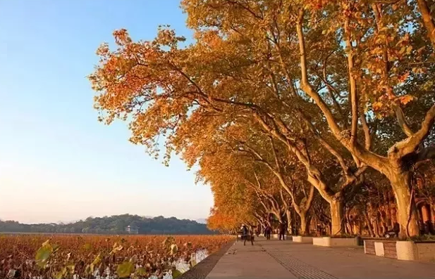 朝鲜族乡街楼房价格_楼街朝鲜族乡_朝鲜族一条街