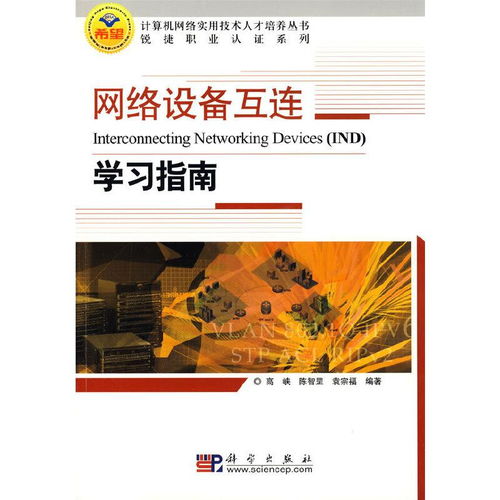 常用的网络互连设备,常用的网络互连设备及其功能解析