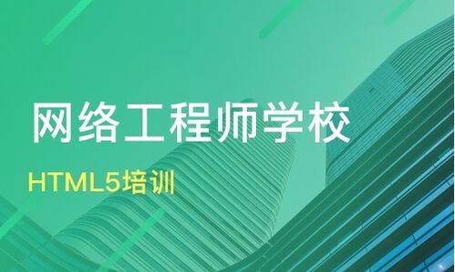 软件技术学什么课,全面了解学习内容