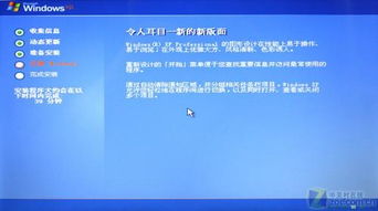 重装xp系统卡在windows界面,Windows XP系统重装卡在Windows界面？快速解决方法