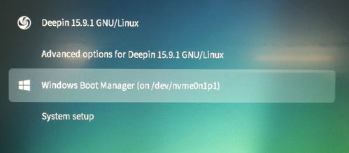 双系统windows10 deepin,windows10 deepin