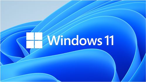 正版微软系统windows11,微软windows11官网下载地址