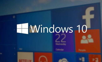 新的系统windows10