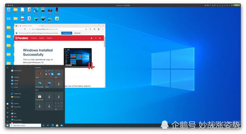 双系统windows10更新,windows10更新