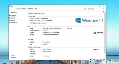 政府用windows系统吗,政府机构是否使用Windows系统？