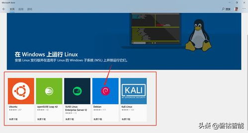 在windows装linux系统怎么安装步骤,Windows系统下安装Linux系统的详细步骤