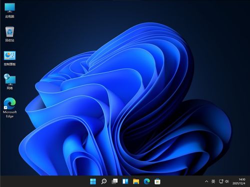 微软操作系统windows11家庭版