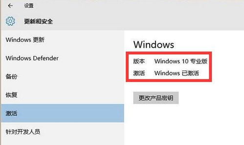 怎么看windows10系统已激活码