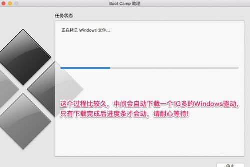 双系统windows不同文件夹,双系统Windows中的不同文件夹解析