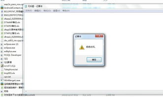 双系统后打不开windows,双系统后打不开Windows的常见原因及解决方法