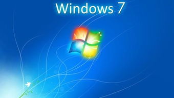 系统支持windows,危险的windows