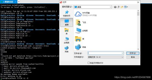 文件从windows系统到linux,文件从Windows系统到Linux系统的传输方法详解