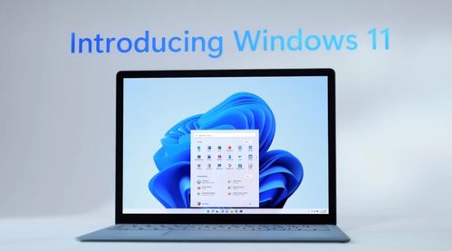 微软windows11系统手机,win11娘