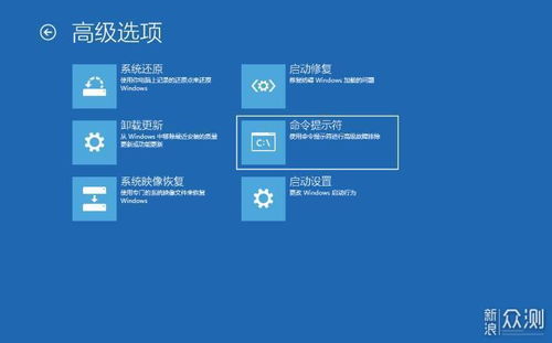 怎么装windows十系统,从U盘启动到双系统配置