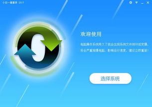 小白重装系统有windows10吗,轻松实现Windows 10系统快速安装