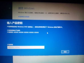 新买的电脑没有windows系统,新购电脑无预装系统？教你轻松安装与激活Windows