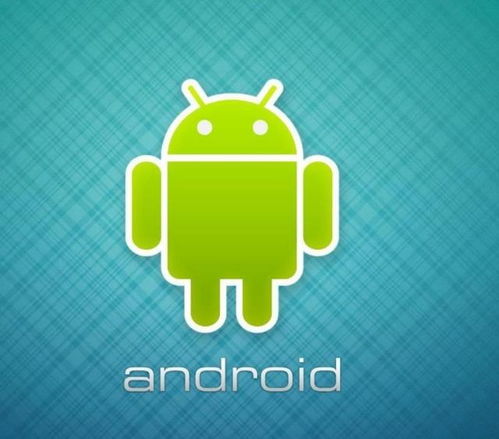 安卓系统运行H5,Android系统下H5应用运行概述