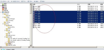 进入安卓系统文件夹,揭秘系统架构与文件管理奥秘
