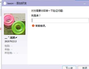 skype莹欣,跨越时空的沟通使者