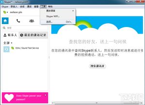 skype网络电话会显示什么,通话详情一览无遗