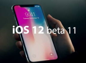 安卓12系统bug,用户体验受影响