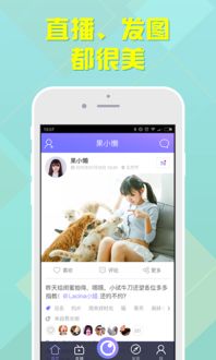 高清直播安卓系统,畅享极致视觉体验的科技盛宴