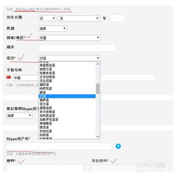 skype邮箱怎么填写,便捷生活指南
