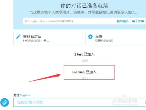 skype语音群组,打造高效团队沟通与协作新篇章