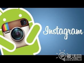 安卓系统装instagram,畅享全球社交新体验