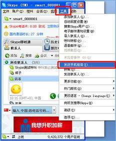 skype无法发短信,探索无法发送短信的解决方案