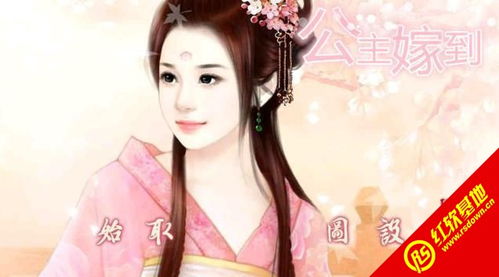 公主出嫁游戏,公主出嫁的浪漫传奇