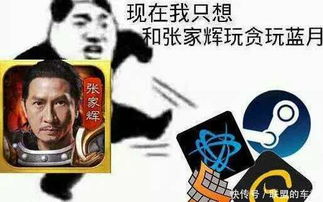 鄙视玩游戏的,揭秘游戏玩家的真实世界