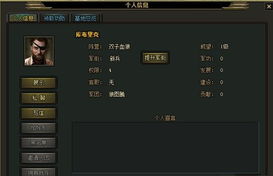 将军说游戏,战火烽烟中的传奇征程
