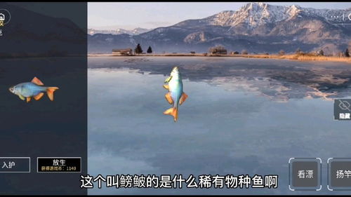 桌面游戏钓鱼,桌面游戏中的钓鱼乐趣探索