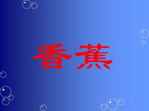 猜字游戏题目,猜字游戏挑战之旅