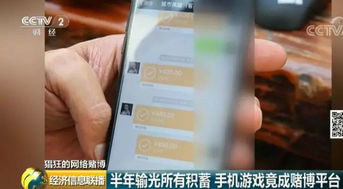 赌博游戏模拟,模拟体验与风险警示