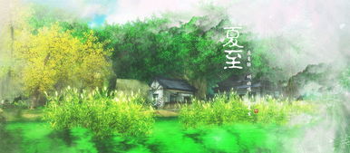 夏至小说 