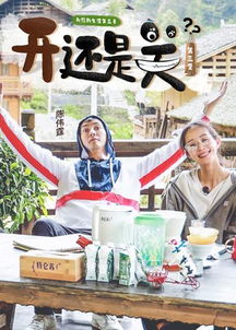 是非题游戏,智慧对决