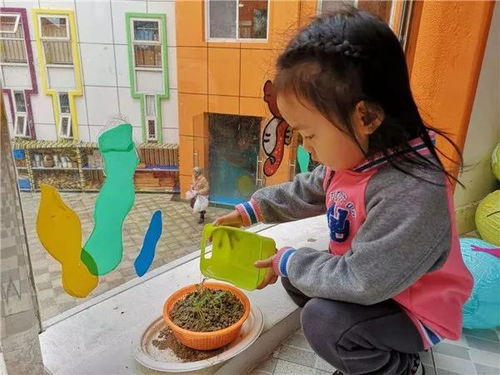 实践小游戏,探索知识新境界