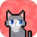 数猫猫 