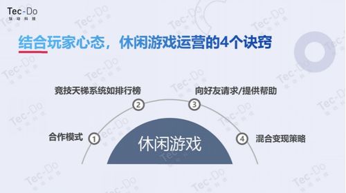 游戏公司运营策略,揭秘游戏公司运营之道