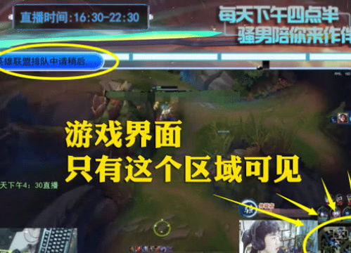 游戏作假吗,真相与反思