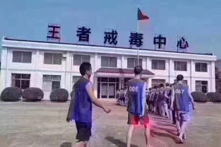 游戏戒毒所,探索虚拟世界中的戒瘾之旅